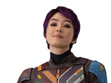 Sabine Wren