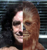 Peter - Chewbacca