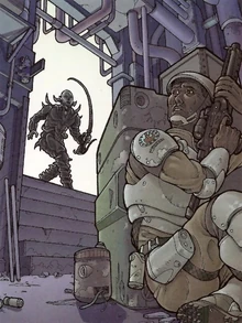 Un  se oculta temeroso de un  .