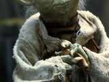 Yoda