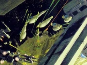 Los  disparan sus cañones de plasma.