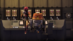 Sabine Chopper