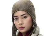 Paige Tico