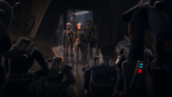 Ursa y los clanes mandalorianos apoyan a Bo-Katan Kryze como su nueva líder.