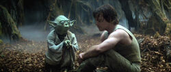 Yoda y Luke