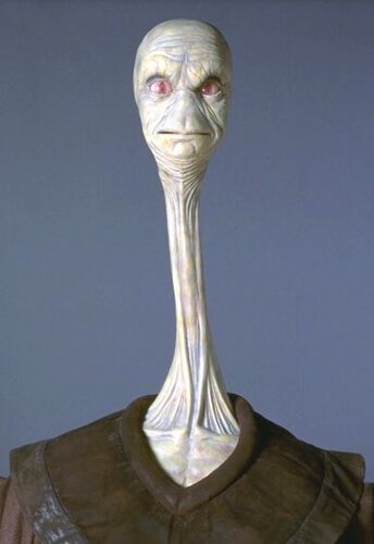 Yarael Poof