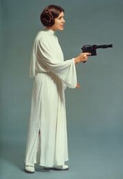 Leia photomasher