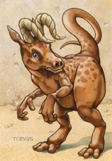 Un scurrier en Tatooine.