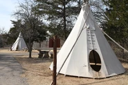 Tipi camping at the park