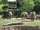 Dallas Zoo