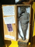 "Mermaid" on display