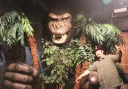 Devin runs afoul of Kong