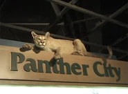 Fort Worth was known as "Panther City"