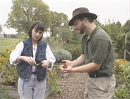 TDGG1.jpg (400 KB) Checking out butterflies in the gardens
