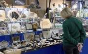 Specimens for sale at the East Texas Gem & Mineral Show