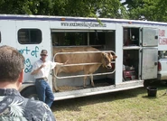 Mobile Dairy.jpg (1.65 MB) Mobile Dairy Classroom