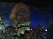 Bigfoot lurks at the museum