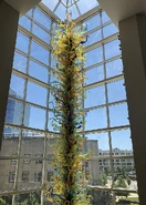 A piece by Dale Chihuly on display at the museum