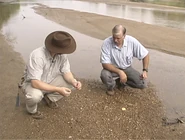 Checking out the riverbed with Devin