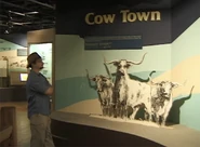 Devin checks out an exhibit