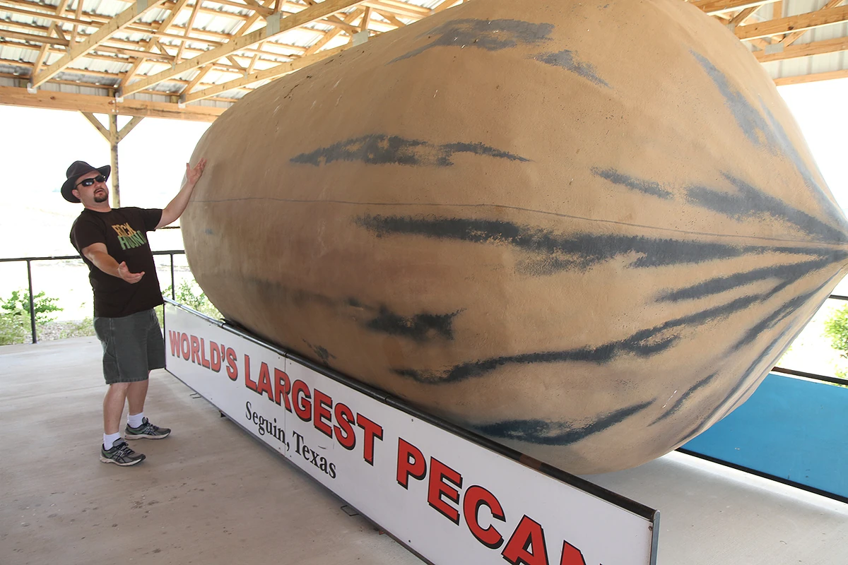 World's Largest Pecan Esteem Education Wiki Fandom
