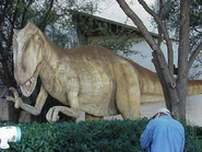 Getting footage of the dinosaurs outside the museum