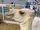 Camels