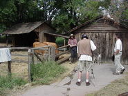 Filming at the farm