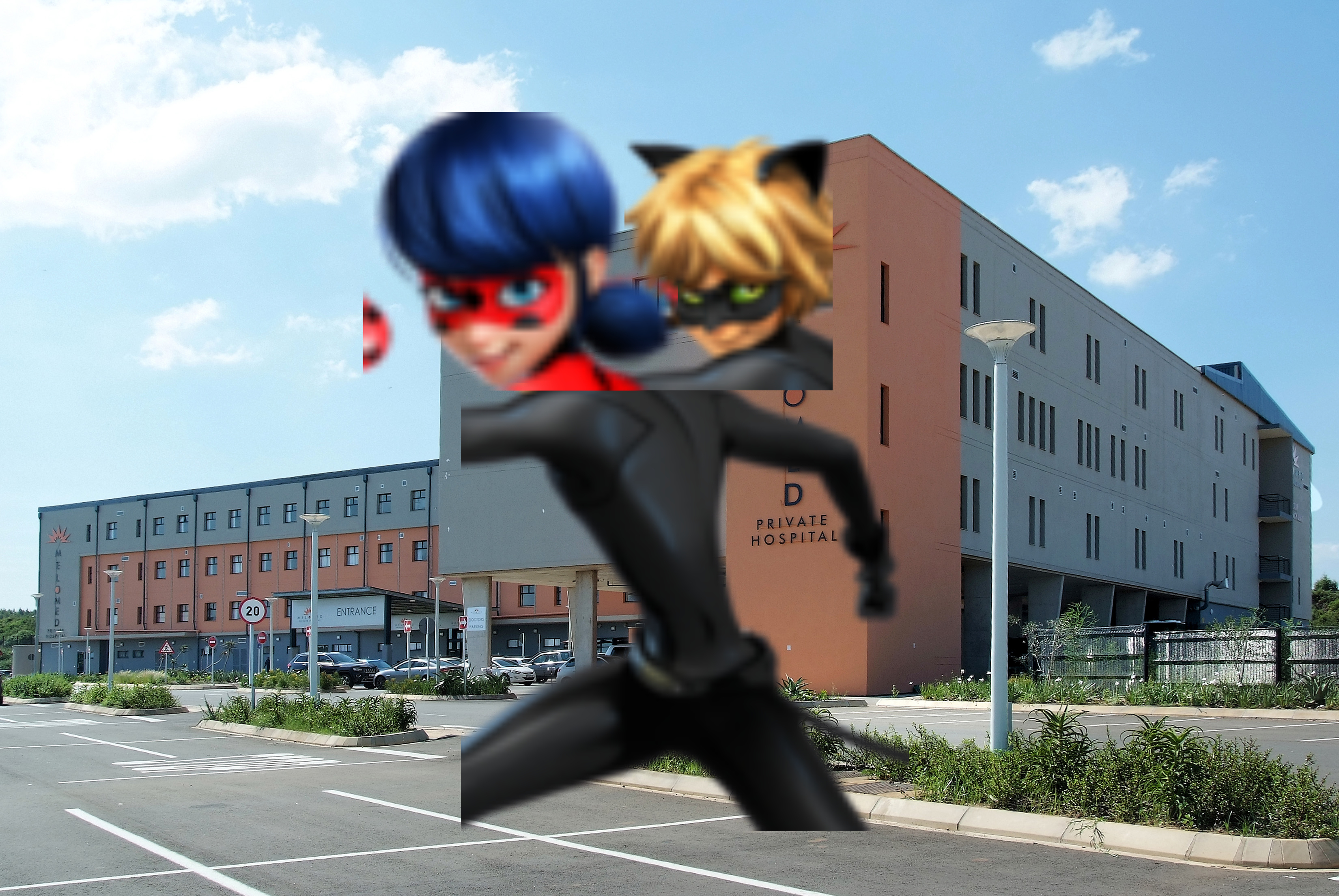 Miraculous: Is Ladybug & Cat Noir's Romance Doomed?