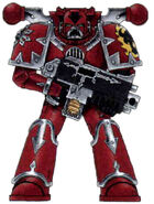 XVII - Portadores de la Palabra.