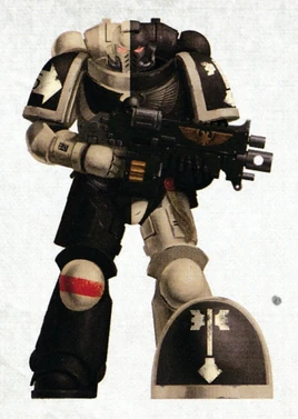 Ángeles Desafiantes 10ª