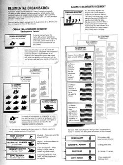 Esquema compañía G.I