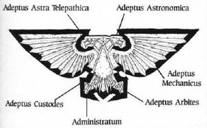 Aguila Imperial Imperio Significado Adeptus Wikihammer