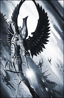 Swooping Hawks 2