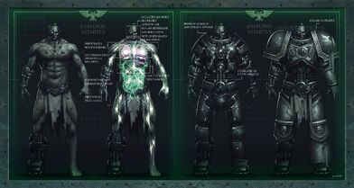 Anatomía Astartes servoarmadura