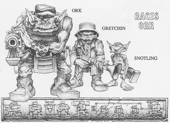 Orkraces