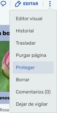 Protección de página (botón)