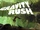 Gravity Rush
