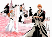 Bleach Wiki Spotlight