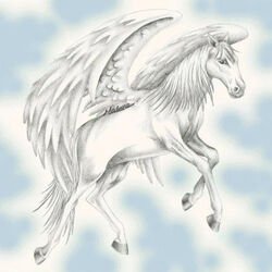 Pegasus