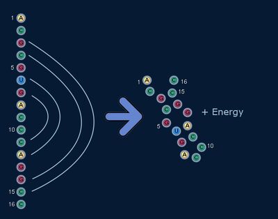 FreeEnergy.jpg