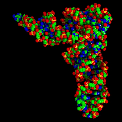 rna structure animation