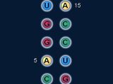 Dot-Bracket Notation