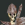 Armed Skeleton - Icon