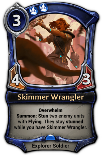 Skimmer Wrangler card