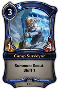 Camp Surveyor