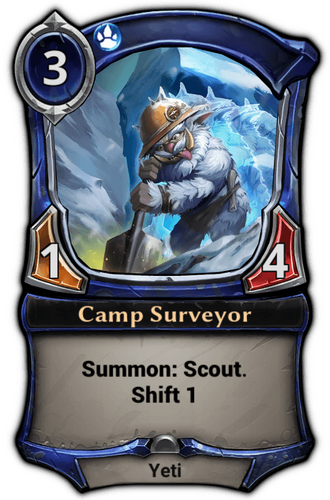 Camp Surveyor card