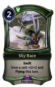 Sky Race