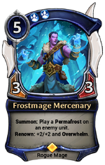 Frostmage Mercenary (575 KB)