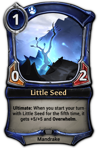 Little Seed card